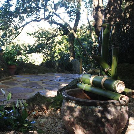 Domocantabria, Cupula Experiencias Sobremazas Esterno foto