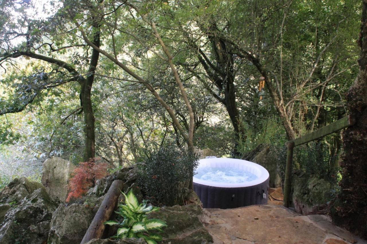 Domocantabria, Cupula Experiencias Sobremazas Esterno foto