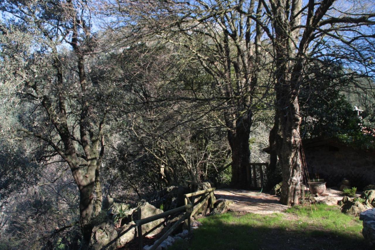 Domocantabria, Cupula Experiencias Sobremazas Esterno foto